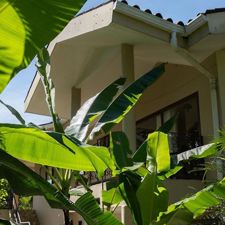 Sol Y Sombra Bed and Breakfast Bocas del Toro Eksteriør billede